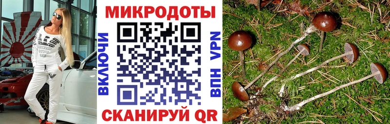 hydra сайт  Макаров  Галлюциногенные грибы Psilocybine cubensis  купить наркотик 